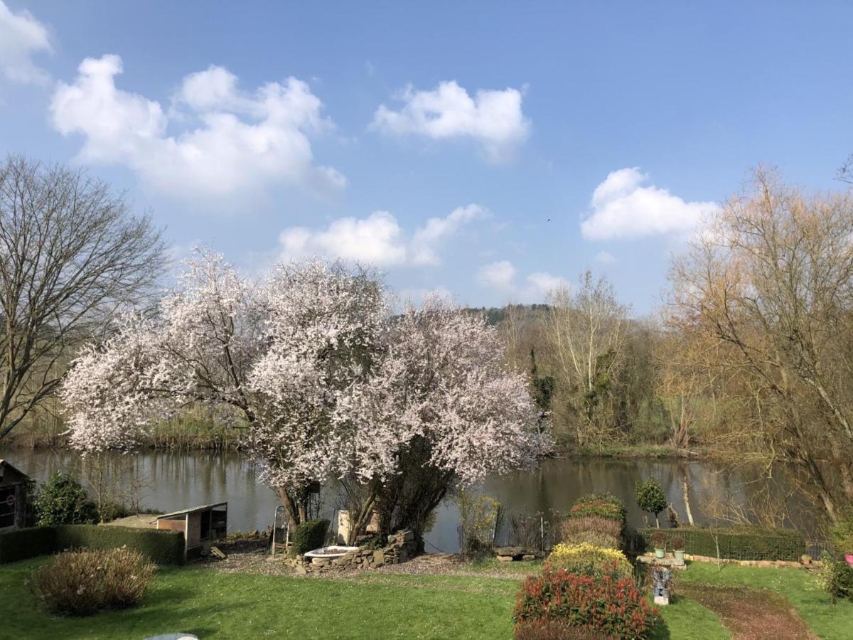 La Noisette Villa Saint-Remy  Ngoại thất bức ảnh